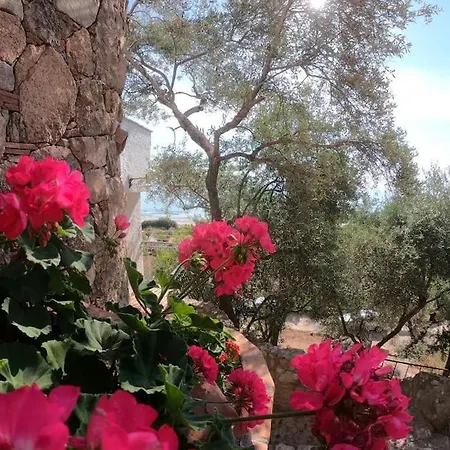 Gioia Splendida Vista Mare